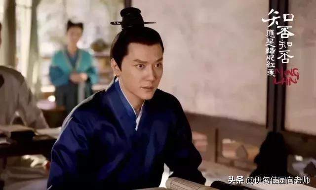 都挺好苏明玉的原生家庭,都挺好揭露原生家庭伤疤