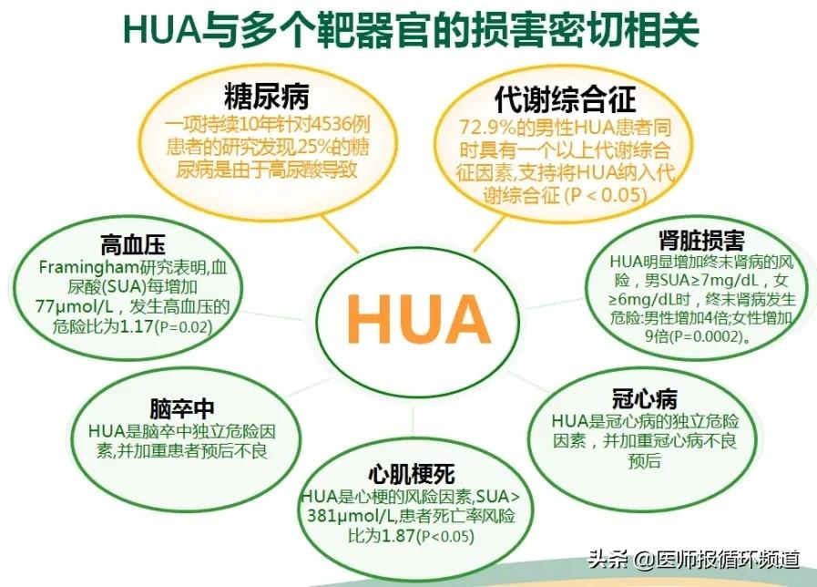 糖尿病的治疗应遵循综合管理,糖尿病健康管理的方案