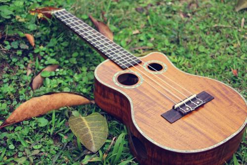 ukulele尤克里里滴答,ukulele尤克里里曲子