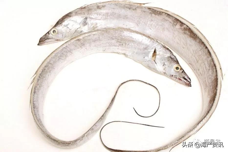 各国海鲜大盘点,今年过年最值得入手的海鲜