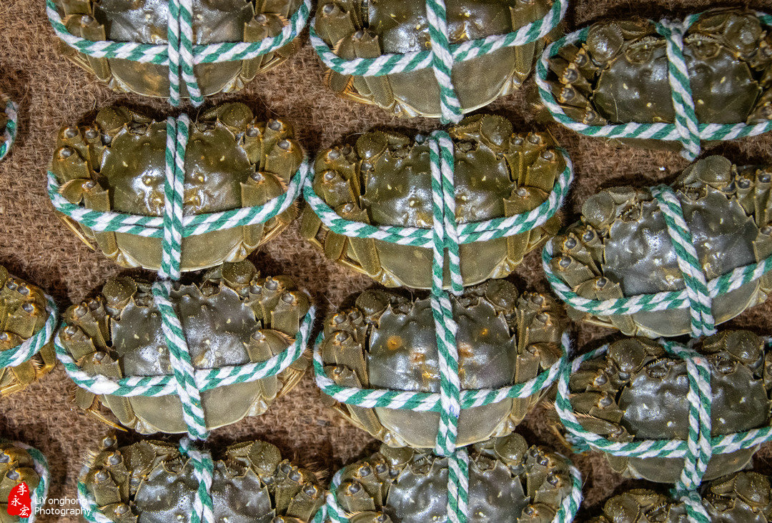 蟹园盘锦河蟹,盘锦赵圈河镇河蟹