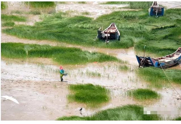 长乐人姓氏之“王”姓的由来