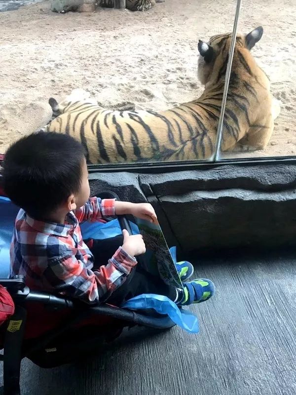 带娃广州长隆2天1夜旅游攻略,带娃自由行长隆旅游攻略