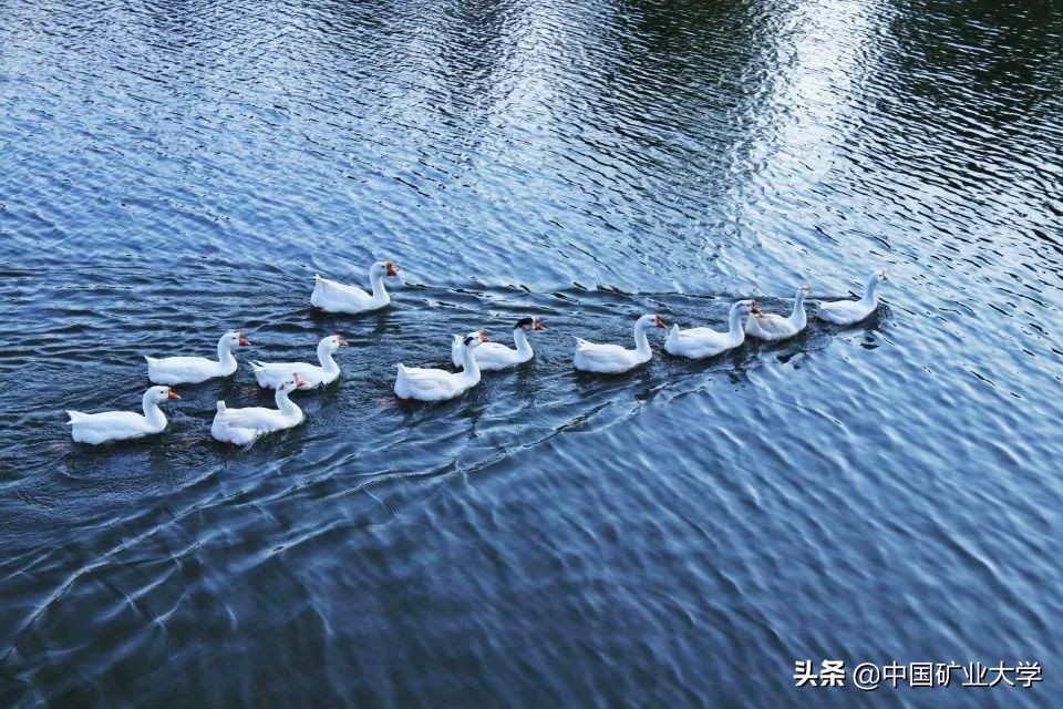 听好了!今天我们要夸矿大!