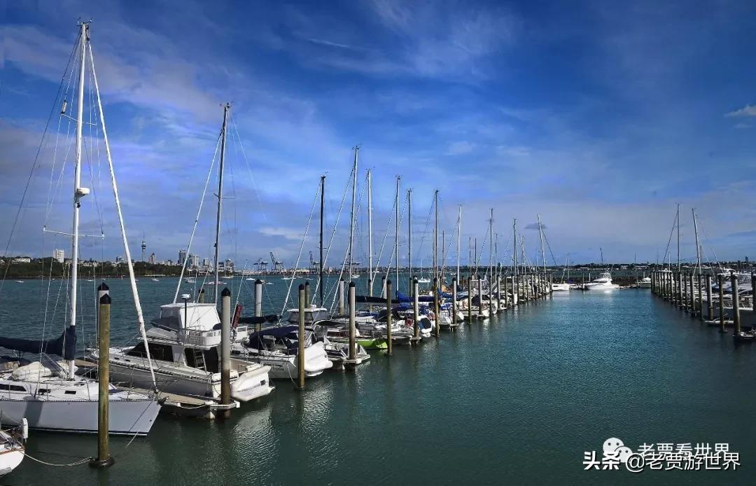 新西兰的五个漂亮的地方,新西兰最好的五大城市排名