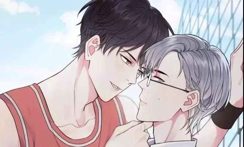 羲和清零的小说全集,羲和清零