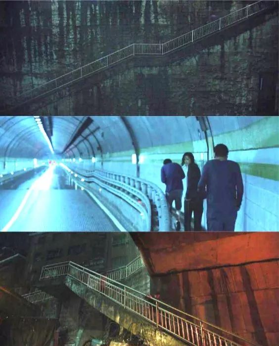 寄生虫背后的小漏洞,寄生虫和小偷家族