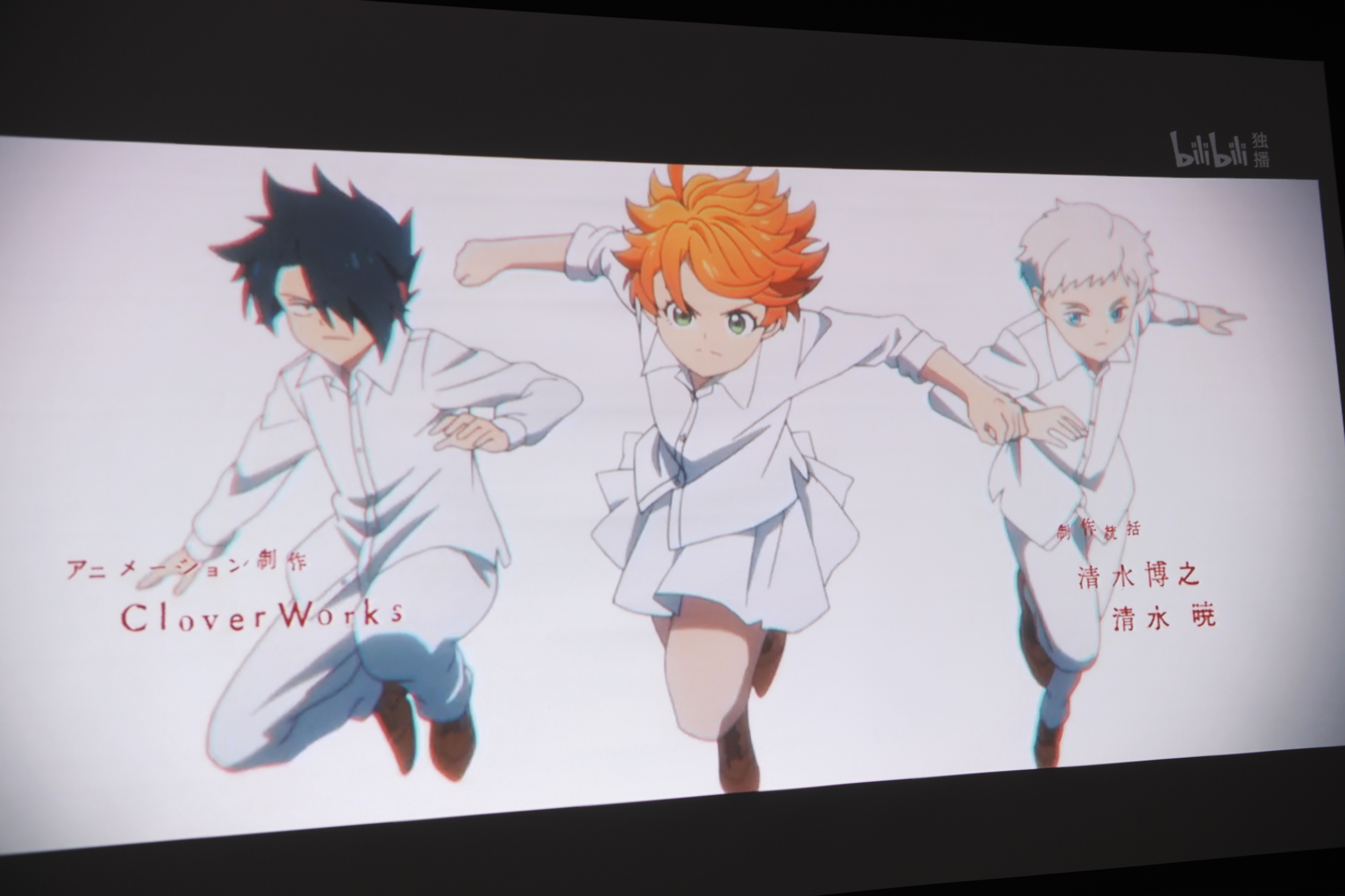 家庭投影机选什么样的幕布,家庭投影仪不要幕布