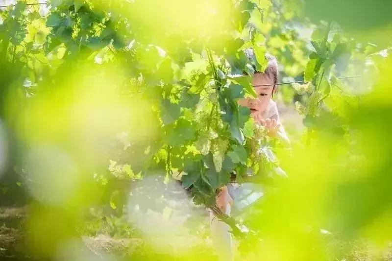 clubmedjoyview安吉度假村北京,clubmedjoyview延庆度假