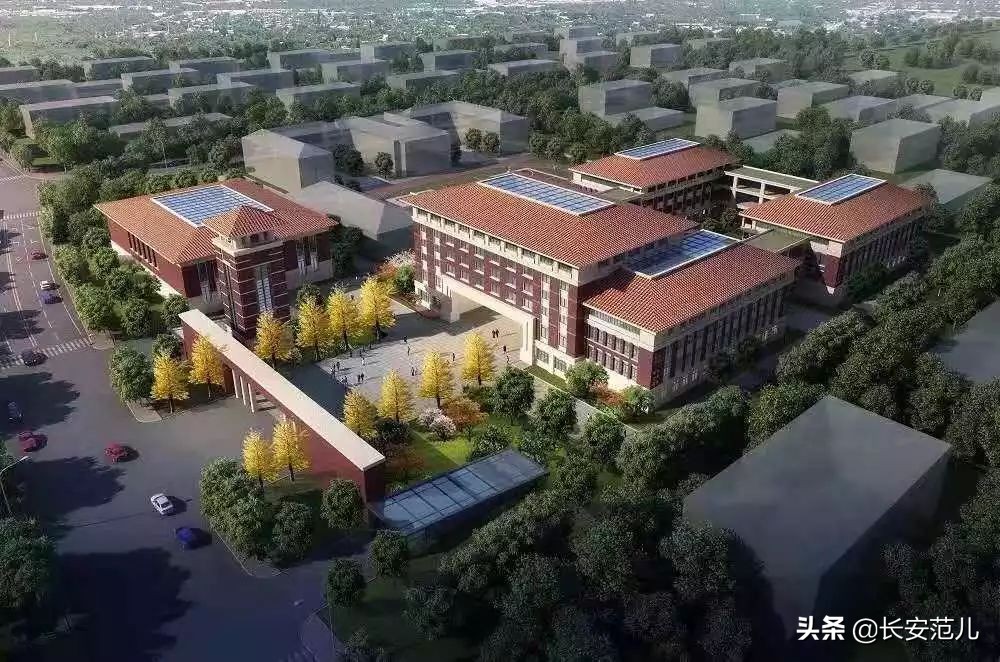 西安最“钢”地标！782天，西安奥体中心主体育场“石榴花”落成