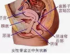 尿频反反复复怎么根治,为什么尿频尿急反反复复