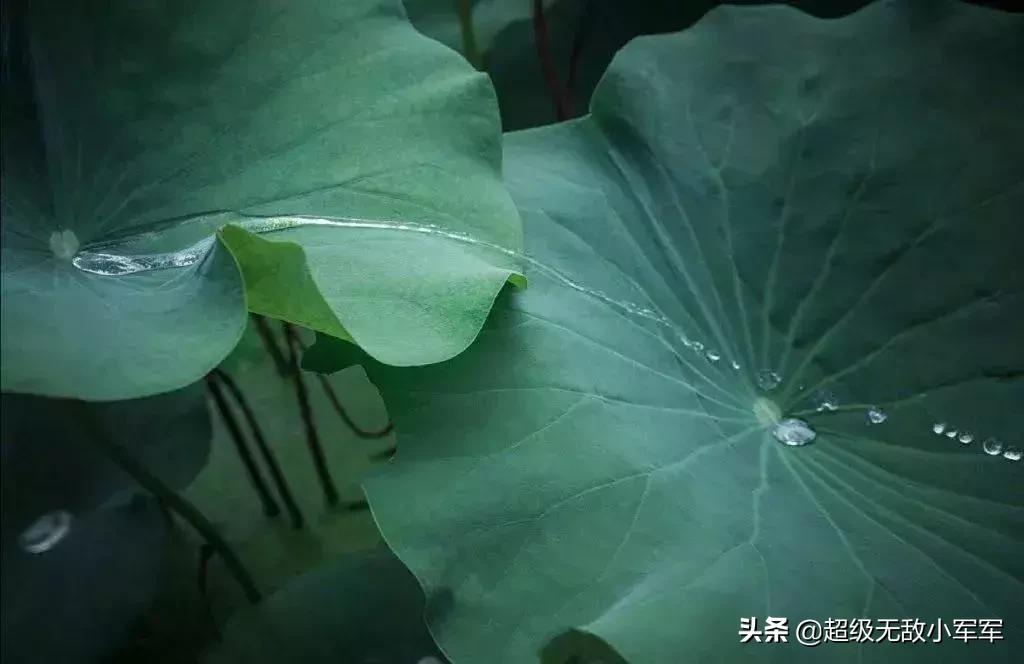 佛说做人请不要炫耀,佛说为什么不能炫耀