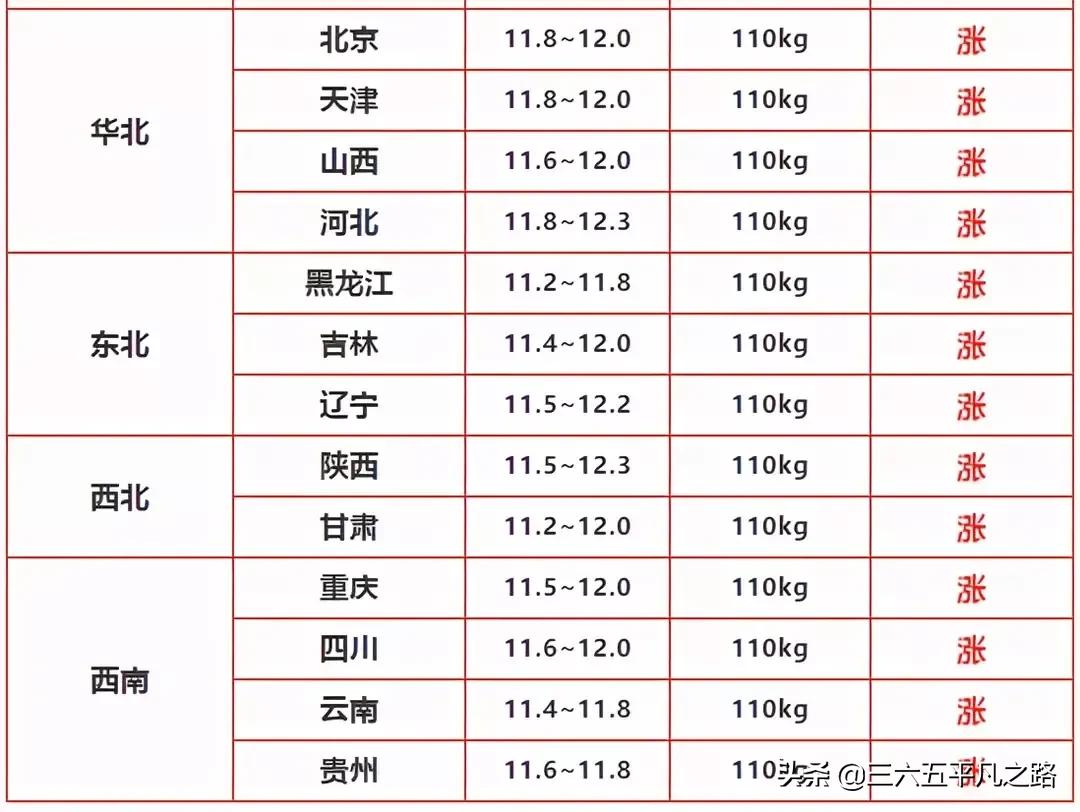 飞天猪2019年,飞天猪最新新闻