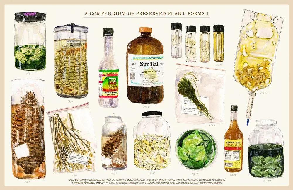 美国纽约视觉艺术学院插画,插画毕业展