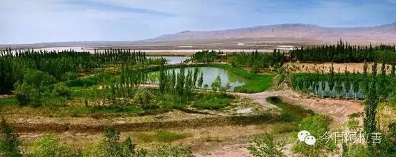 阿拉善盟免费景点,阿拉善盟定远营旅游景区