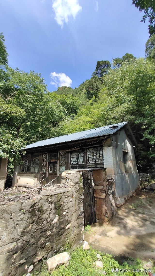 我和悬崖村的故事,我和北京小说