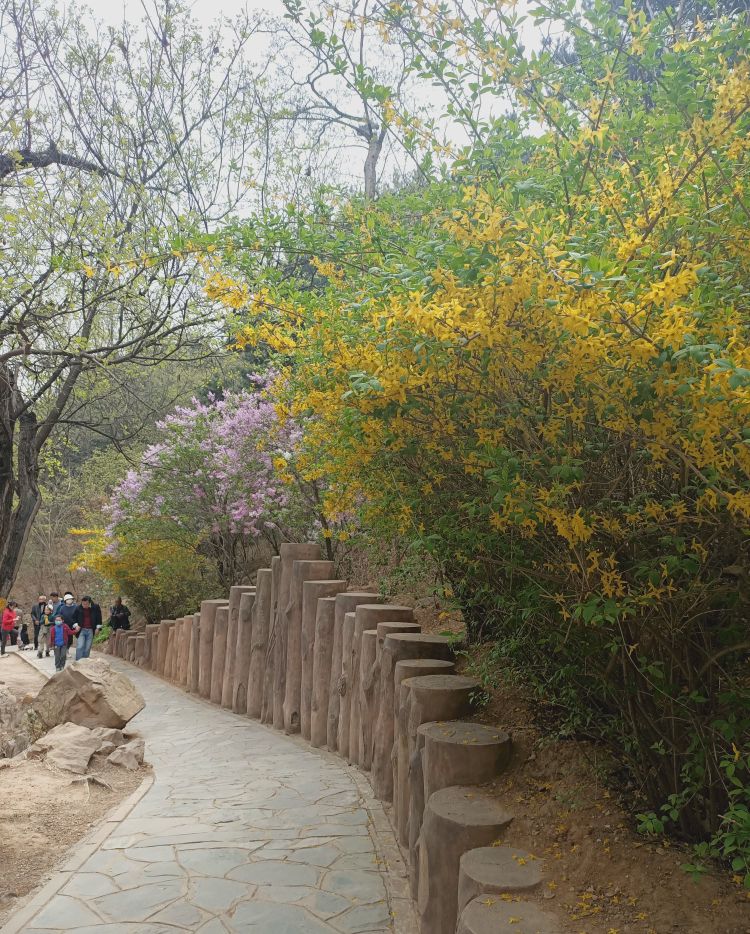 北京西山国家森林公园,北京西山国家森林公园预约