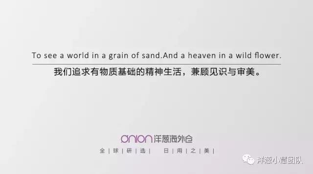 洋葱的经营方法,洋葱创业史