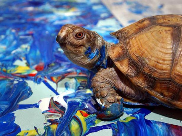 老鼠画画超简单,老鼠画画作品