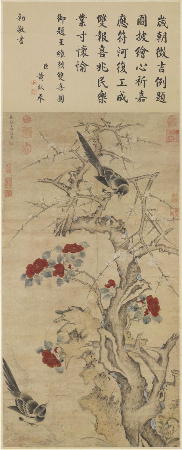 慢慢学花鸟｜这胖胖的哑嗓大黑鸟怎么成了“喜”鹊？