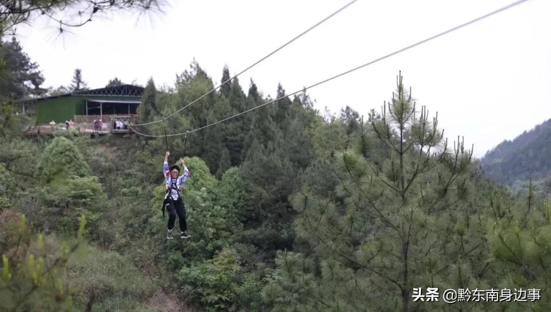城市森林旅游景点推荐,都市森林王国游玩攻略