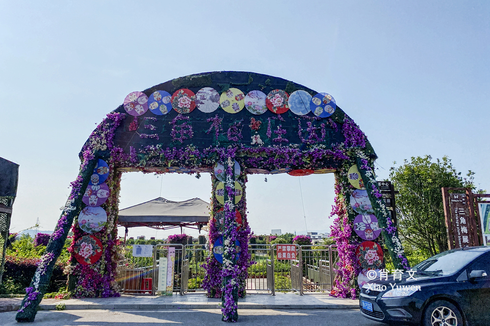 袁隆平五彩田园,广西五彩田园现代农业园区