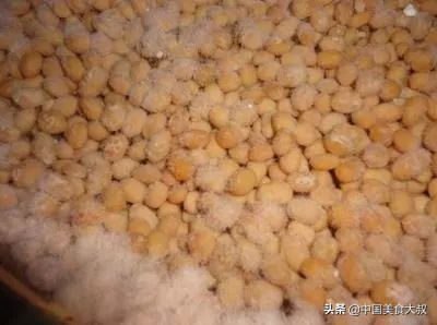 腌制黄豆酱家常做法大全,腌制黄豆酱的制作方法