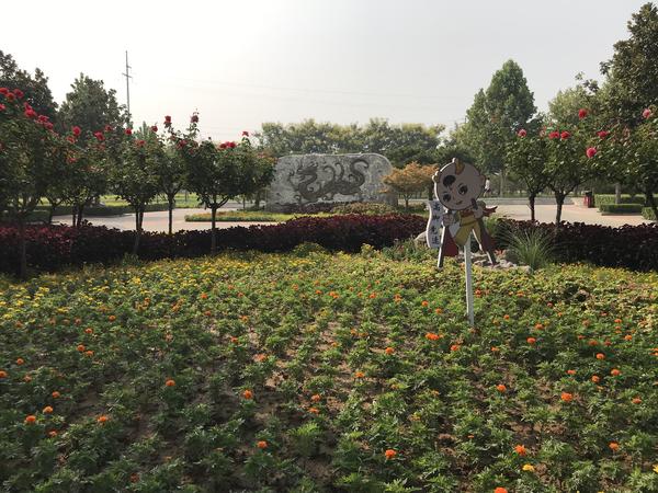 百花齐放迎盛世华夏崛起在今朝,花团锦簇万众瞩目