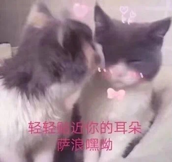 空姐带货主播,空姐带货直播