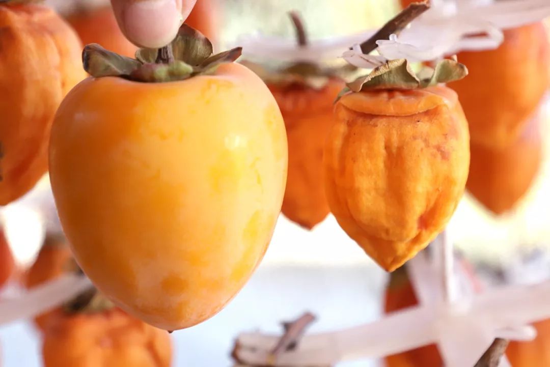 正宗的富平柿饼知识普及，记得收藏