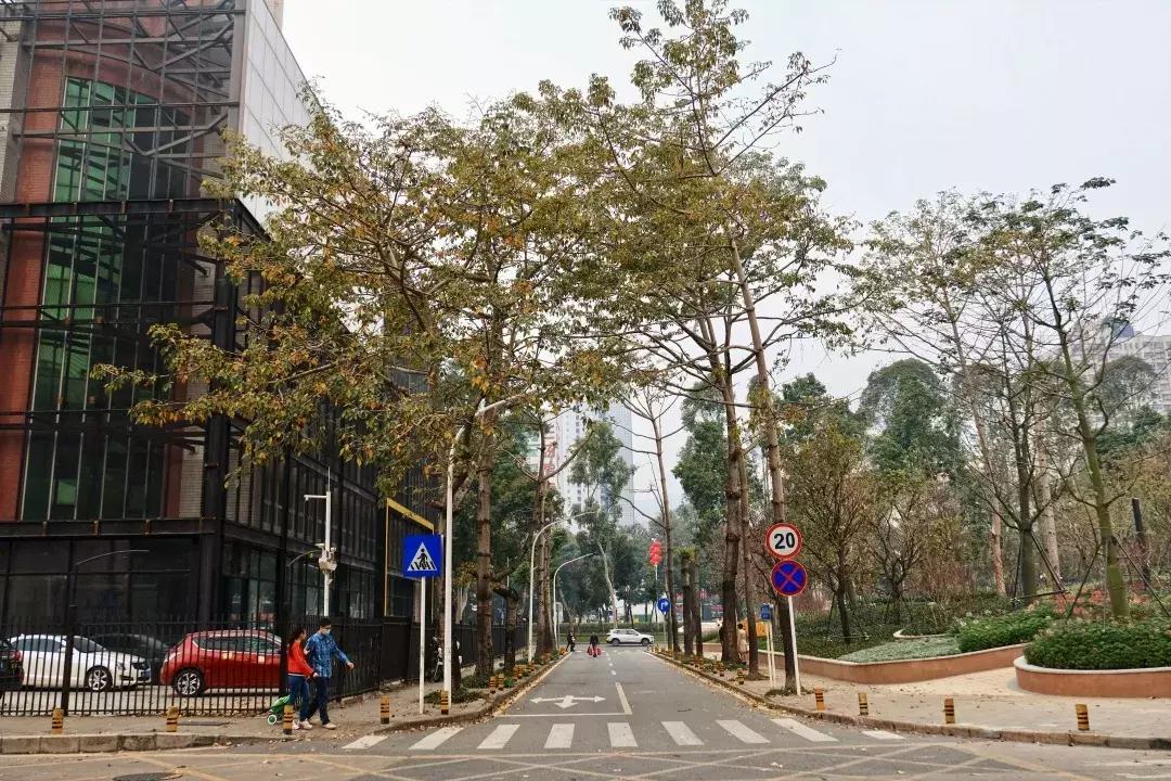 景甜经典片段,景甜童年照