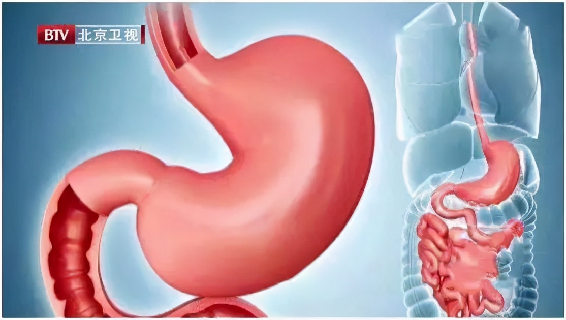 晚上睡觉总想吃东西应该怎么吃,晚上忍不住想吃东西吃什么好