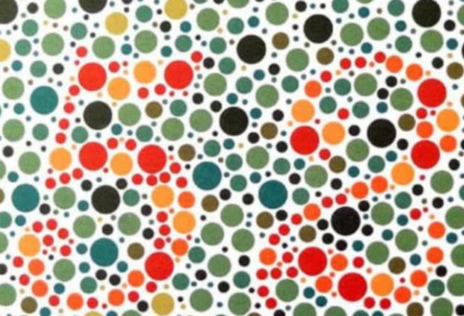 车管所色盲测试图视频讲解,车管所测试色盲图片真实