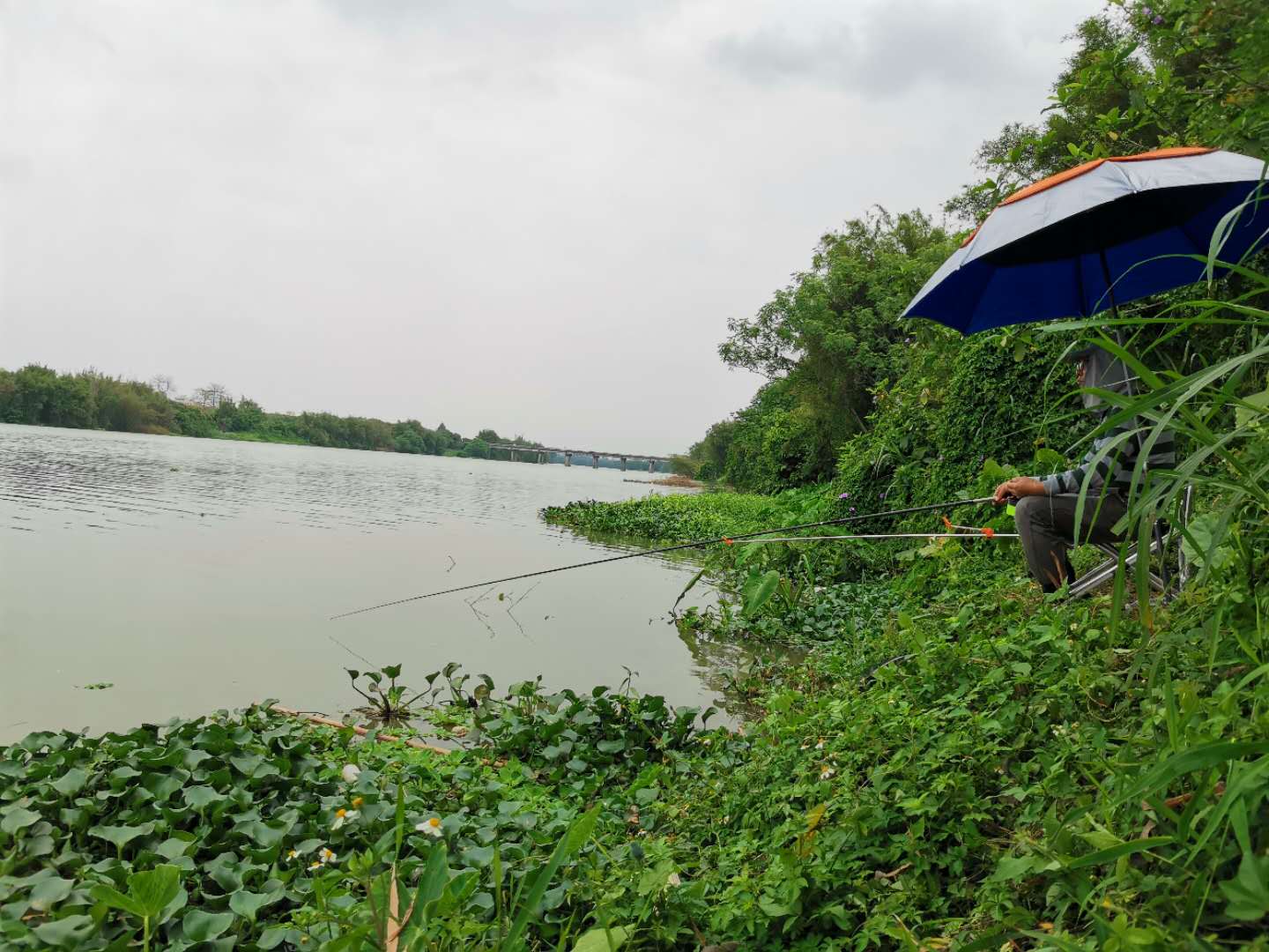 野钓走水用什么办法解决,野钓走水应对最好的办法
