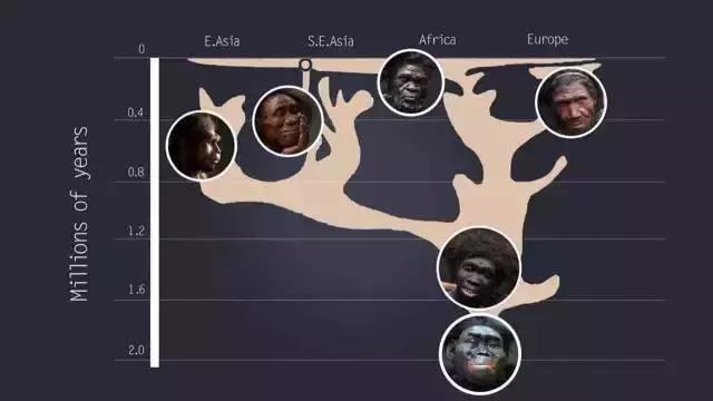 自然环境对人类的起源进化史,人类与环境的发展历史