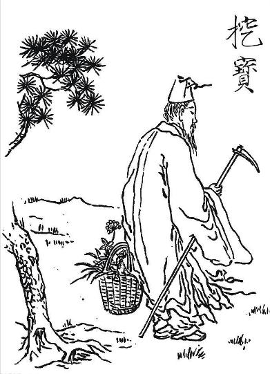 蝙蝠如何吃,李时珍说蝙蝠