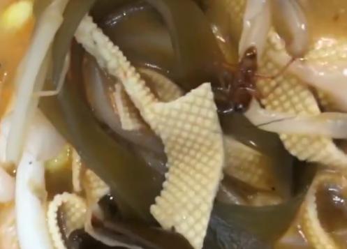 “好歹把碗换一下吧！”砂锅吃出蟑螂，重做后竟端出同一个碗