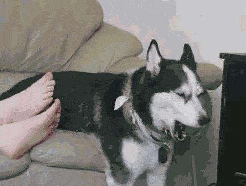 烘干机能去鞋臭,可以定时烘干鞋子神器杀菌除臭