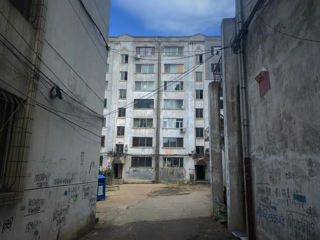 在鹤岗避世的人,在鹤岗