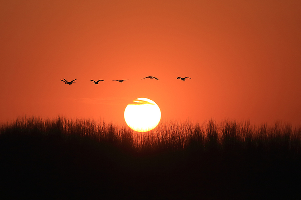反复性风湿,反复性风湿症又称复发型风湿症