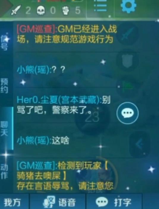 王者荣耀gm巡查出现在什么局,王者荣耀的gm巡查是什么东西