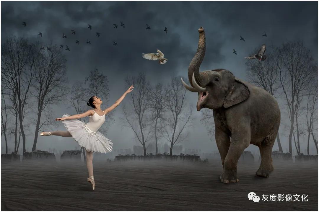 第四届国际风光摄影大赛,第四届国际摄影巡回赛