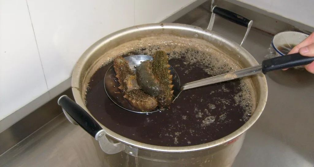 底播海参和养殖海参,底播海参和大棚海参的区别