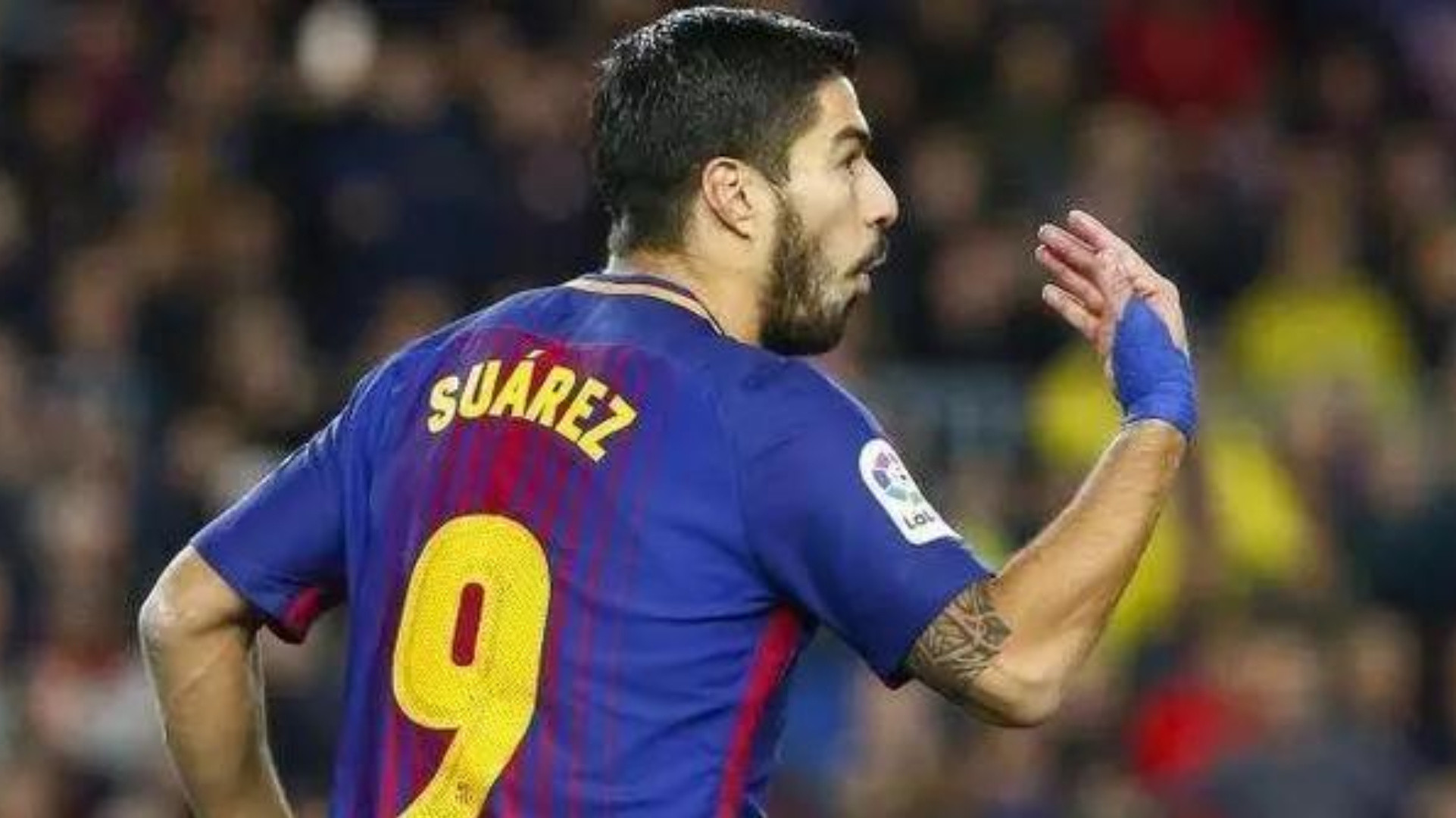 苏神中锋,苏神世界第一中锋