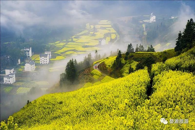 花田喜事｜2020第二届婺源油菜花旅游文化节即将盛装开幕