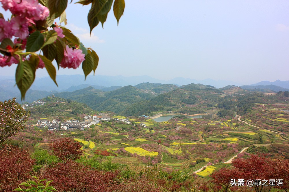 十里樱花十里尘,十五个赏樱地,赴一场樱花之恋