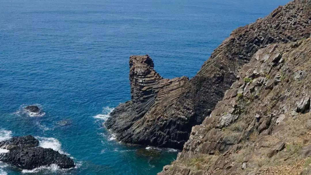 石沪捕鱼在福建哪里,石沪捕鱼游玩