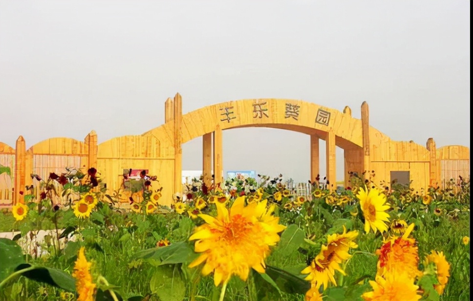 郑州出发黄河沿线自驾游最佳路线,郑州黄河自驾游攻略路线