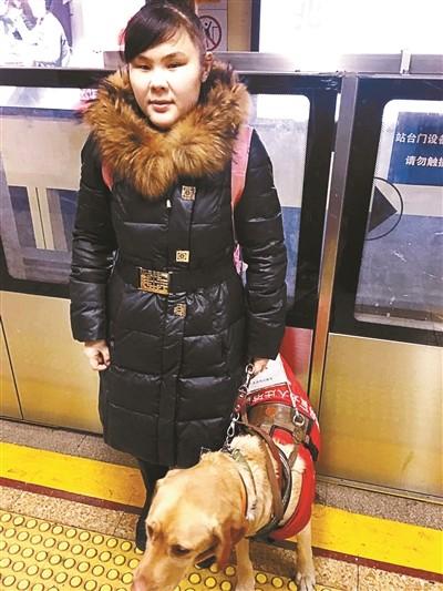 为什么边牧当不了导盲犬,为什么说边牧的智商排第一