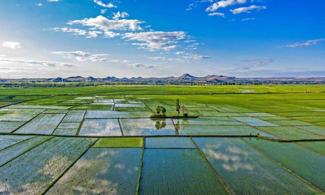 哪款电饭煲煮出来的米饭最好吃,日本哪种电饭煲煮的饭很香